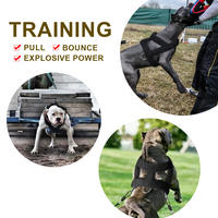 Szelki do ciągnięcia psa miękka wyściólka psy szelki Pitbull duże duże psy uprząż treningowa produkty dla zwierząt domowych 2